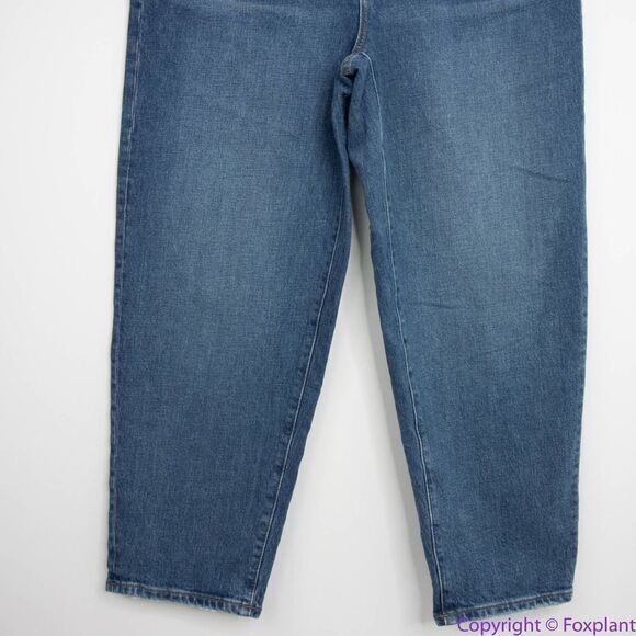 NEW Madewell Balloon Jeans in Ellisboro Wash, 29 - Picture 4 of 16
